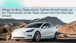 When to Buy Tesla stock.